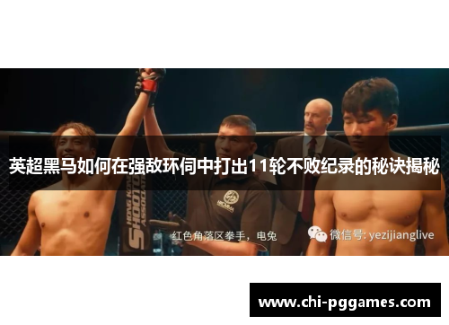 英超黑马如何在强敌环伺中打出11轮不败纪录的秘诀揭秘 英超黑马如何在强敌环伺中打出11轮不败纪录的秘诀揭秘