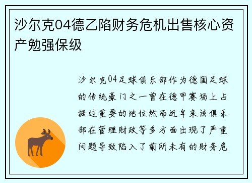 沙尔克04德乙陷财务危机出售核心资产勉强保级