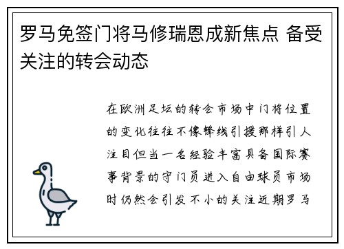 罗马免签门将马修瑞恩成新焦点 备受关注的转会动态